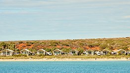 RAC Monkey Mia Dolphin Resort