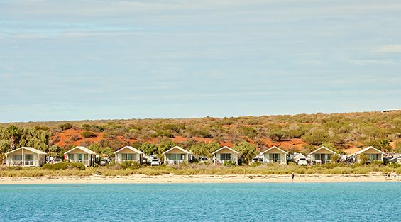 RAC Monkey Mia Dolphin Resort