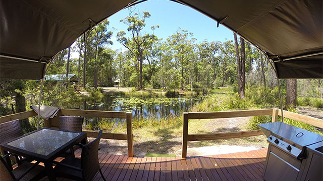 Tent Darlington Beach Holiday Park NRMA Parks and Resorts NSW