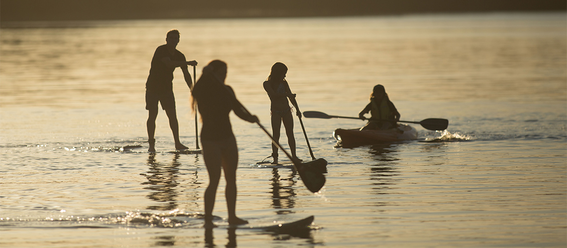 People paddle boarding Myall Shores Holiday Park my nrma local guides