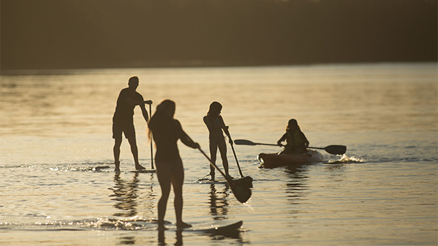People paddle boarding Myall Shores Holiday Park my nrma local guides