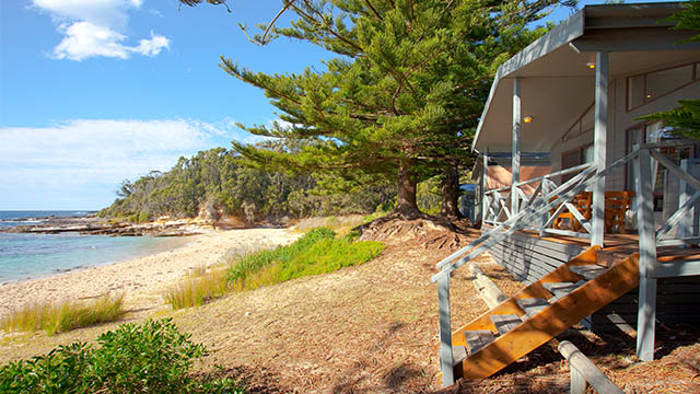 beachfront villa NRMA Murramarang Beachfront Holiday Resort NSW my nrma local guides