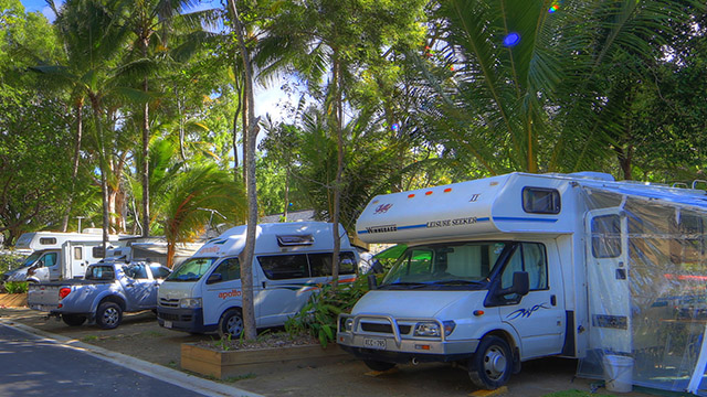 Powered Sites Accommodation Palm Cove Holiday Park NRMA Parks and Resorts QLD