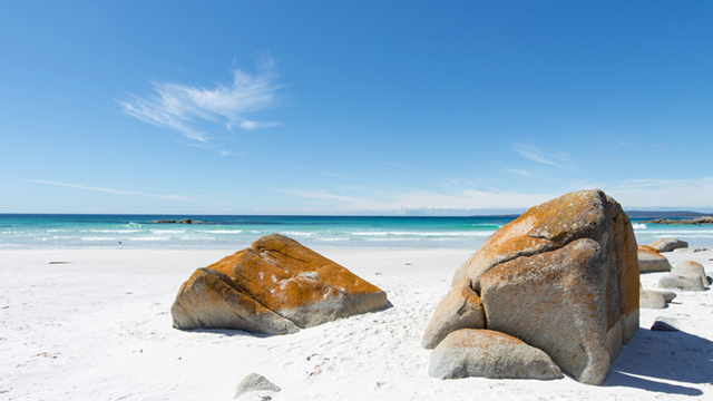 St Helens Tasmania Best Holiday Information Attractions In St Helens