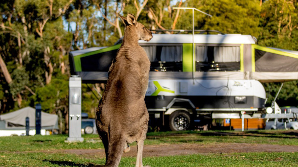 Big4 Nrma Halls Gap Holiday Park Grampians The Nrma