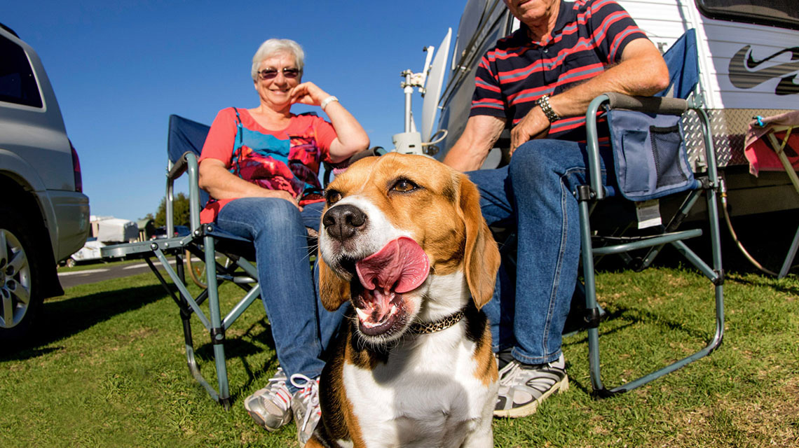 BIG4 NRMA Warrnambool Riverside Holiday Park NRMA Parks and Resorts