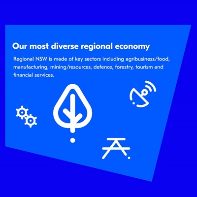 Regional infographic 3 Sector diversity