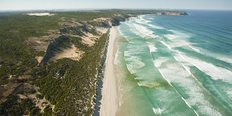 Cape Bridgewater Melbourne to Adelaide in 6 days road trip my nrma road trips