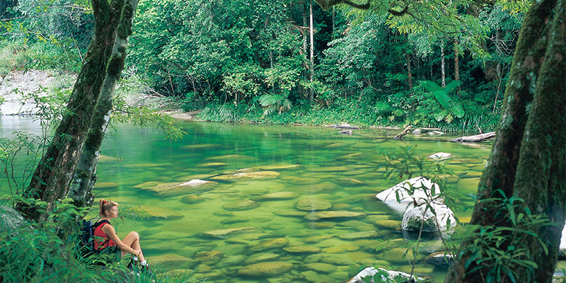 Mossman Gorge Brisbane to Cairns road trip in a week my nrma road trips