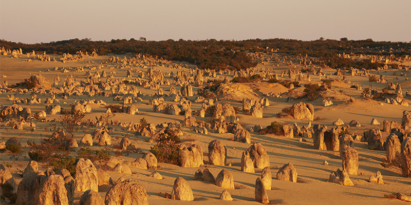 Nambung National Park