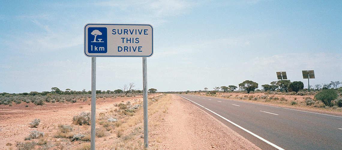 Road safety signs that says "Survive this drive"