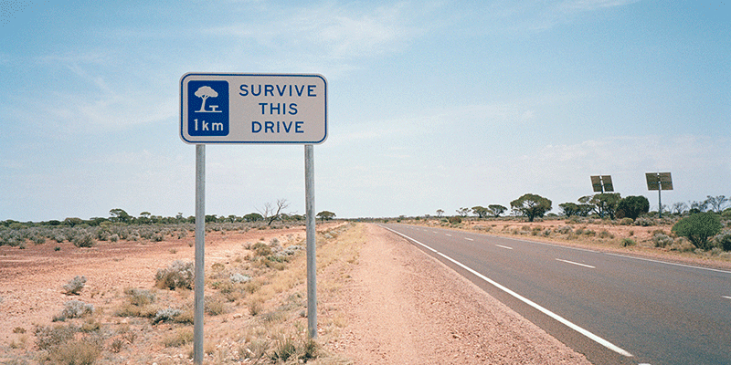 Road safety signs that says "Survive this drive"