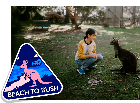 Beach to bush