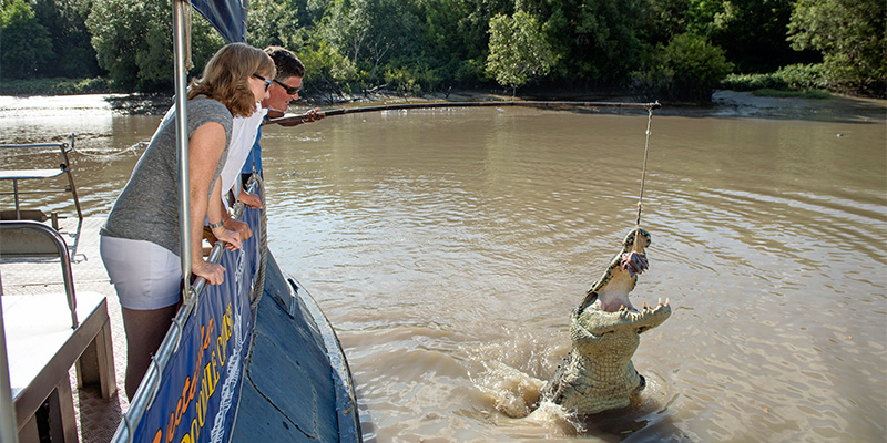 Crocodile Cruise Adelaide to Darwin in 14 days my nrma road trips