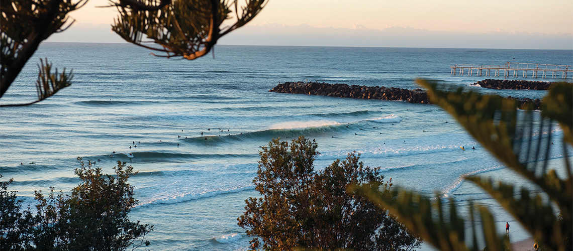 Tweeds Head Hinterland Tour Four Days my nrma road trips