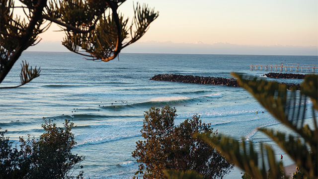 Tweeds Head Hinterland Tour Four Days my nrma road trips