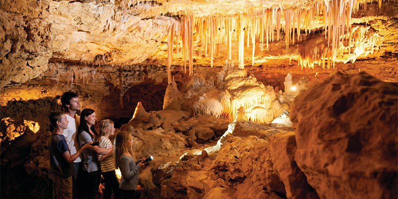 Naracoorte Caves South Australia Limestone Coast in Four Days my nrma road trips