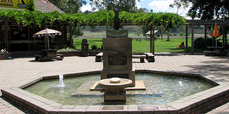 dog on tuckerbox Sydney to Melbourne my nrma road trips