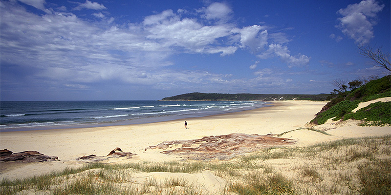 Angourie Beach The Ultimate East Coast Summer Road Trip my nrma road trips