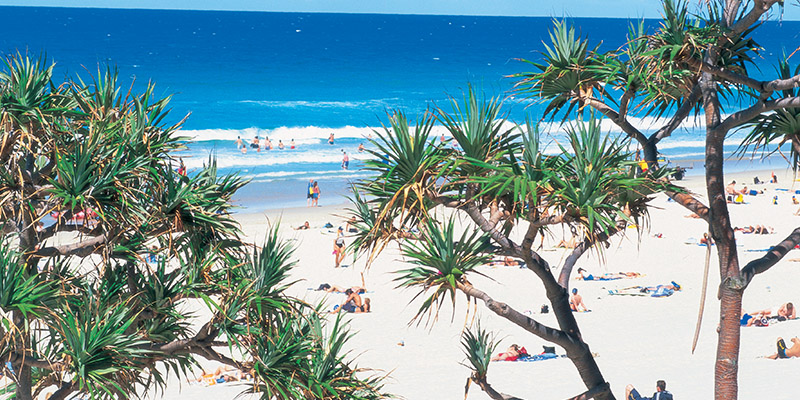 Surfers Paradise The Ultimate East Coast Summer Road Trip my nrma road trips
