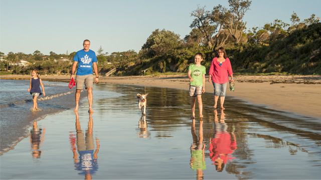 family of four walking on the beach with their dog