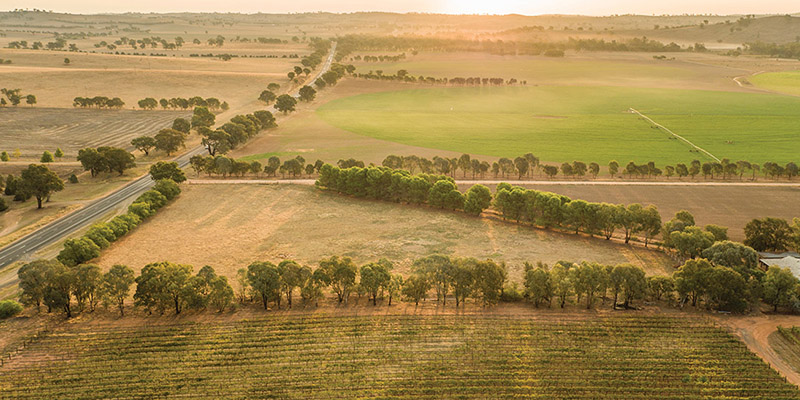 Borambola Winery Adelaide to Sydney my nrma road trips