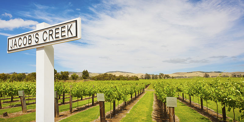 Jacobs Creek Winery Adelaide Wineries my nrma road trips