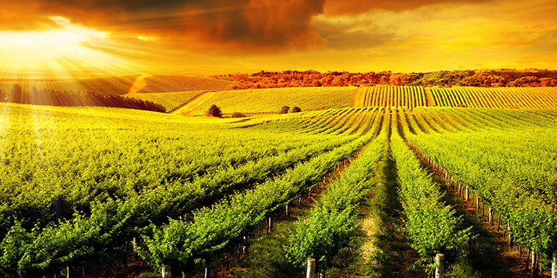 Australia S Best Road Trips Domestic Holiday Ideas The