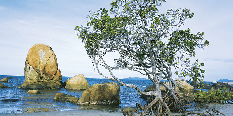 Lockhart River Cairns to Cape York my nrma road trips