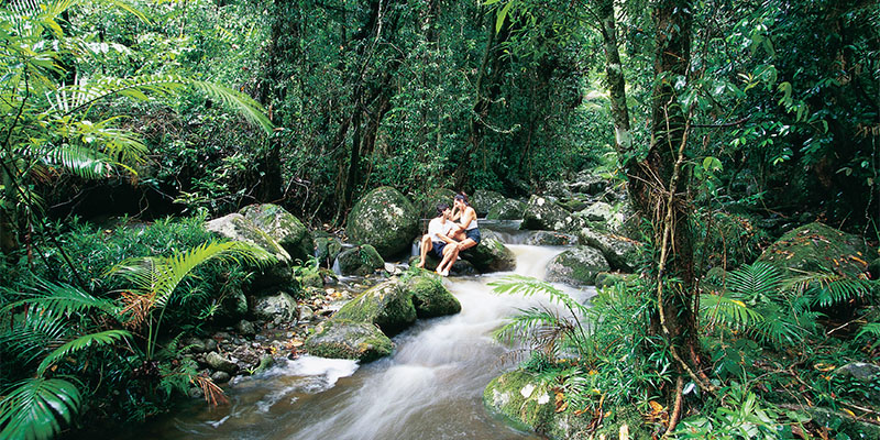 Mossman Gorge Cairns to Cape York my nrma road trips