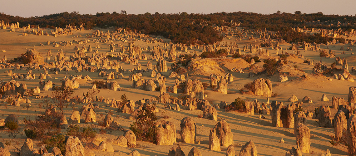 The Pinnacles Coral Coast my nrma road trips