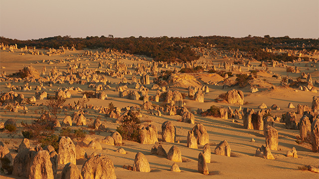 The Pinnacles Coral Coast my nrma road trips