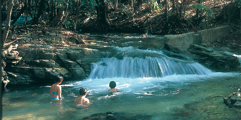 Berry Springs Darwin Kakadu Loop my nrma road trips