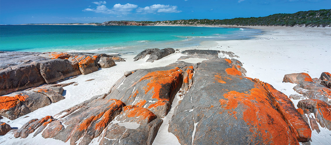 Dolphin Beach Eyre Peninsula my nrma road trips
