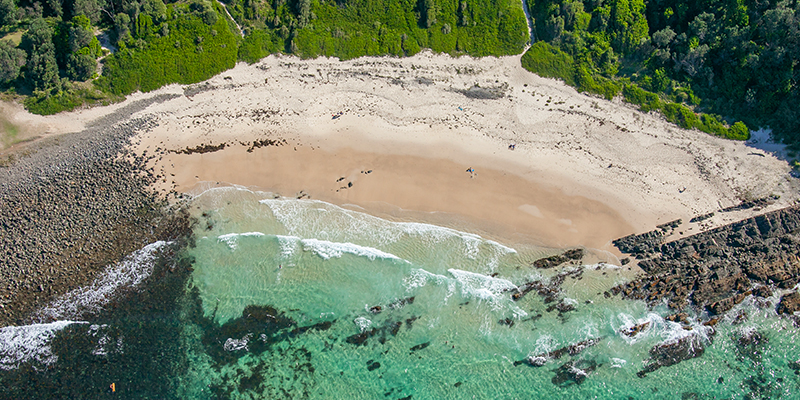 Pebbly Beach Forster Destination NSW 800x400 Pebbly Beach Forster Destination NSW
