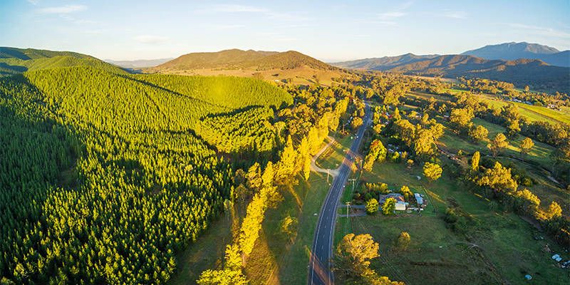 Myrtleford Great Alpine Road my nrma road trips