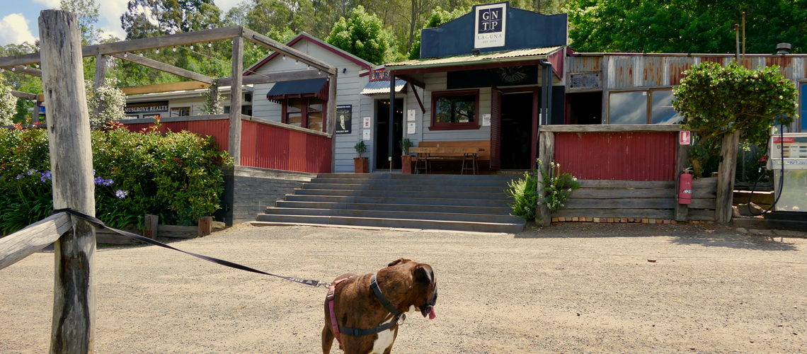 Great Northern Trading Post with Dougal the boxer dog