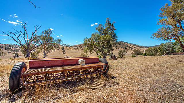 Parkes