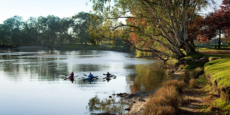 Murray River Albury The Murray my nrma road trips