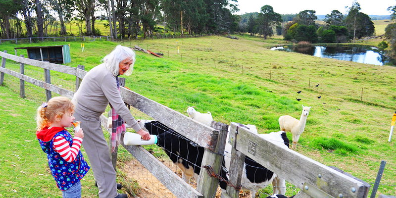 Bodalla Dairy Shed Bodalla Dairy Shed