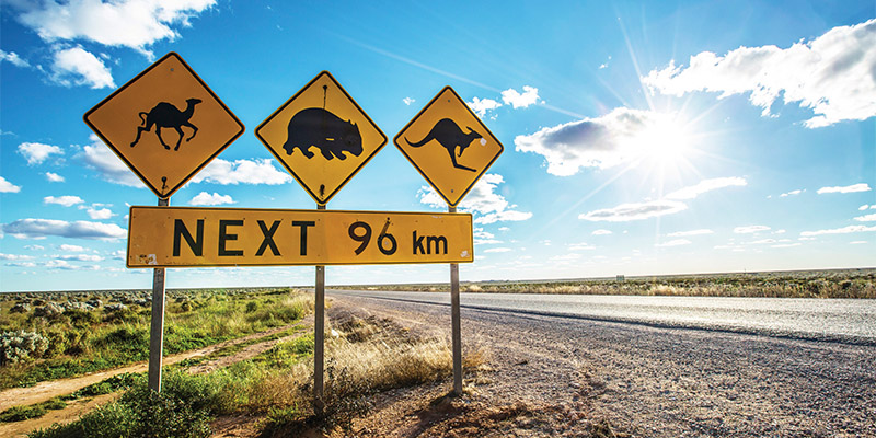 Eyre Highway Nullarbor my nrma road trips