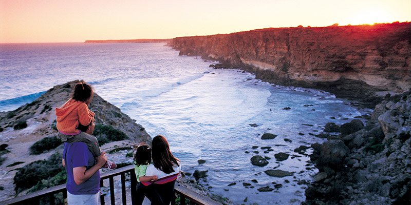 Whale Watching Nullarbor my nrma road trips