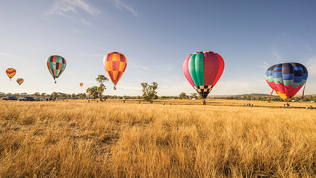 Canowindra Balloon Challenge Sydney to Dubbo my nrma road trips