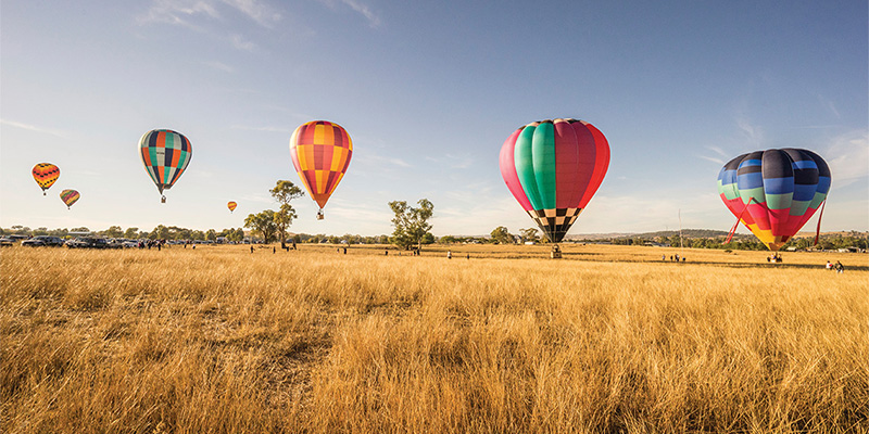 Canowindra Balloon Challenge Sydney to Dubbo my nrma road trips