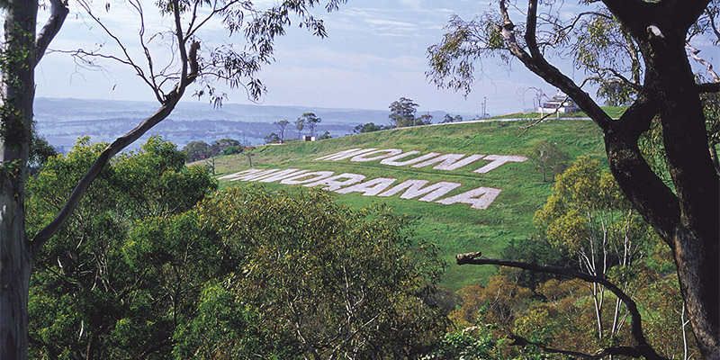 Mount Panorama Sydney to Dubbo my nrma road trips