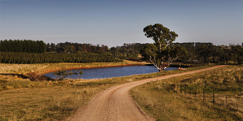 Orange Sydney to Dubbo my nrma road trips