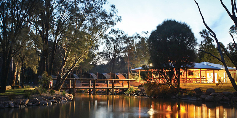 Western Plains Zoo Sydney to Dubbo my nrma road trips