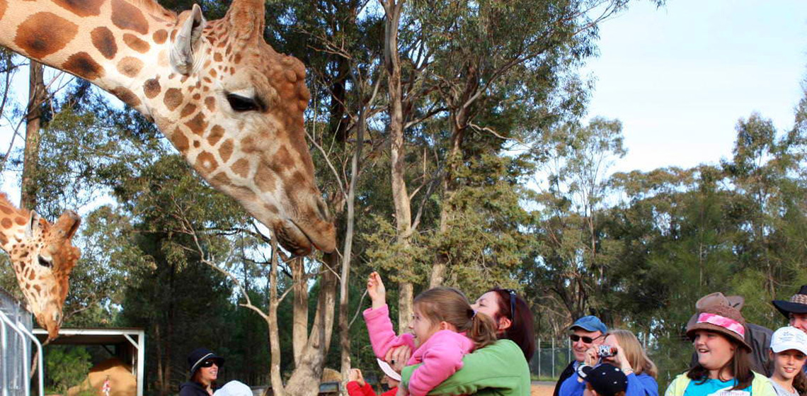 Taronga Western Plains Zoo NRMA Blue Member Benefit