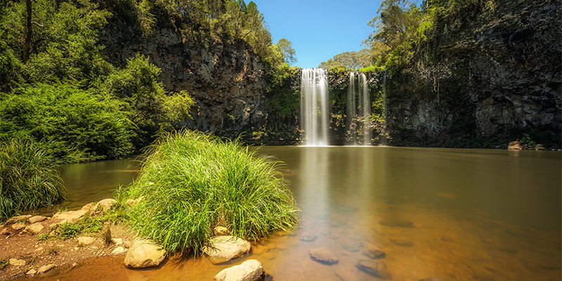 Dorrigo National Park Sydney to Gold Coast my nrma road trips
