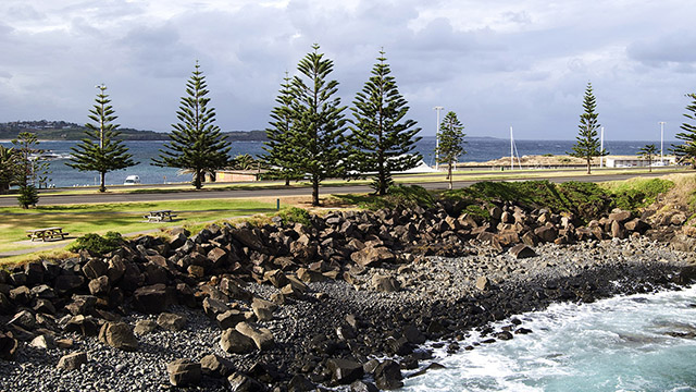 Kiama Coastline Sydney to Kiama my nrma road trips